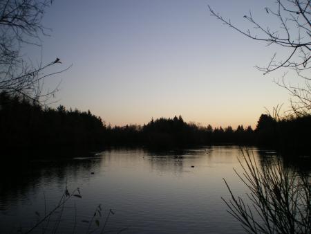 les �tangs de rennes